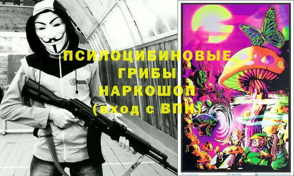 первитин Алексин
