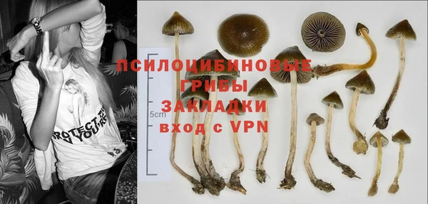 мяу мяу мука Алзамай