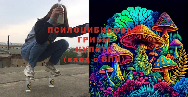 первитин Алексин