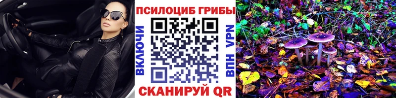 Галлюциногенные грибы мицелий Самара